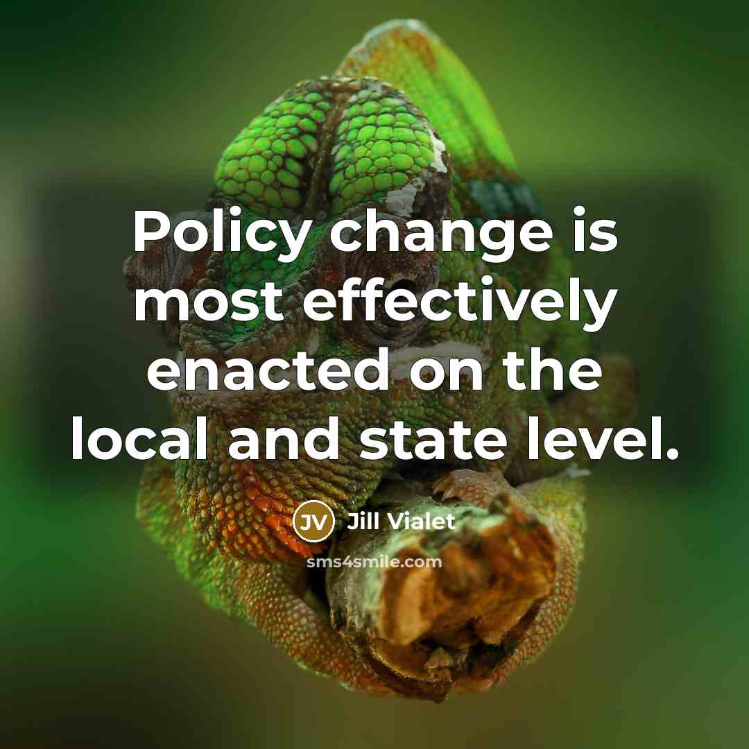 “Policy change is most effectively enacted on the local and state level.” quote by Jill Vialet