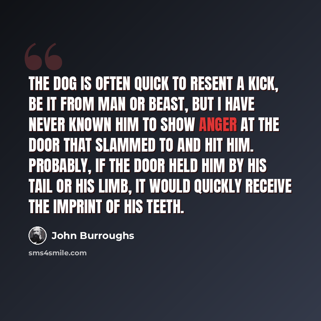 “The dog is often quick to resent a kick, be it from man or beast, but I have never known him to show anger at the door that slammed to and hit him. Probably, if the door held him by his tail or his limb, it would quickly receive the imprint of his teeth.” quote by John Burroughs
