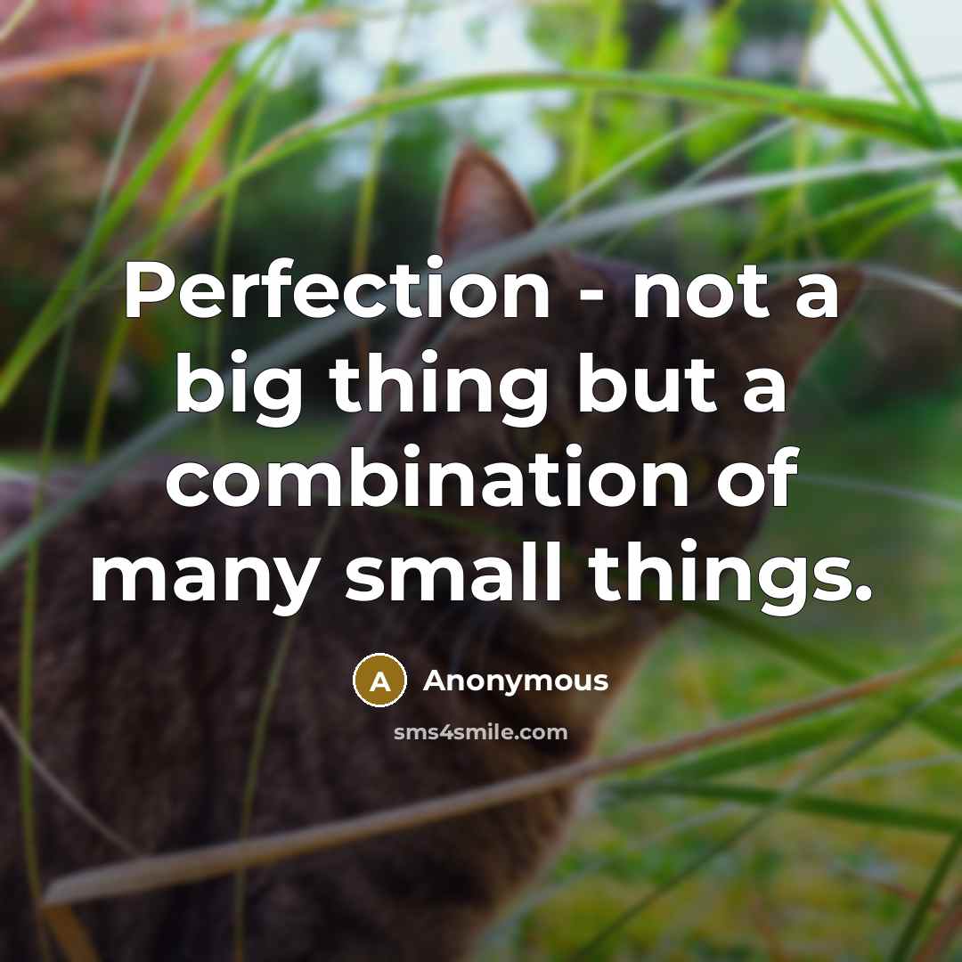 “Perfection - not a big thing but a combination of many small things.” quote by Anonymous
