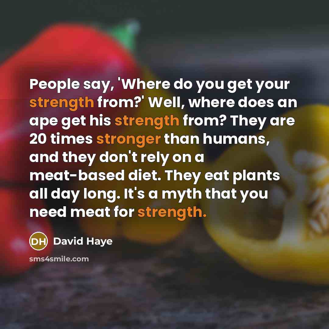 “People say, 'Where do you get your strength from?' Well, where does an ape get his strength from? They are 20 times stronger than humans, and they don't rely on a meat-based diet. They eat plants all day long. It's a myth that you need meat for strength.” quote by David Haye