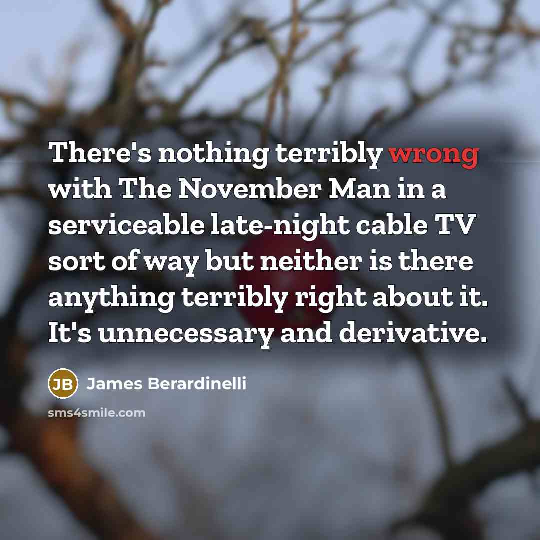 “There's nothing terribly wrong with The November Man in a serviceable late-night cable TV sort of way but neither is there anything terribly right about it. It's unnecessary and derivative.” quote by James Berardinelli