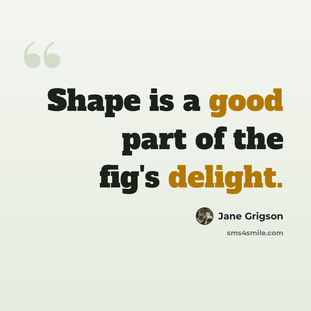 “Shape is a good part of the fig's delight.” quote by Jane Grigson