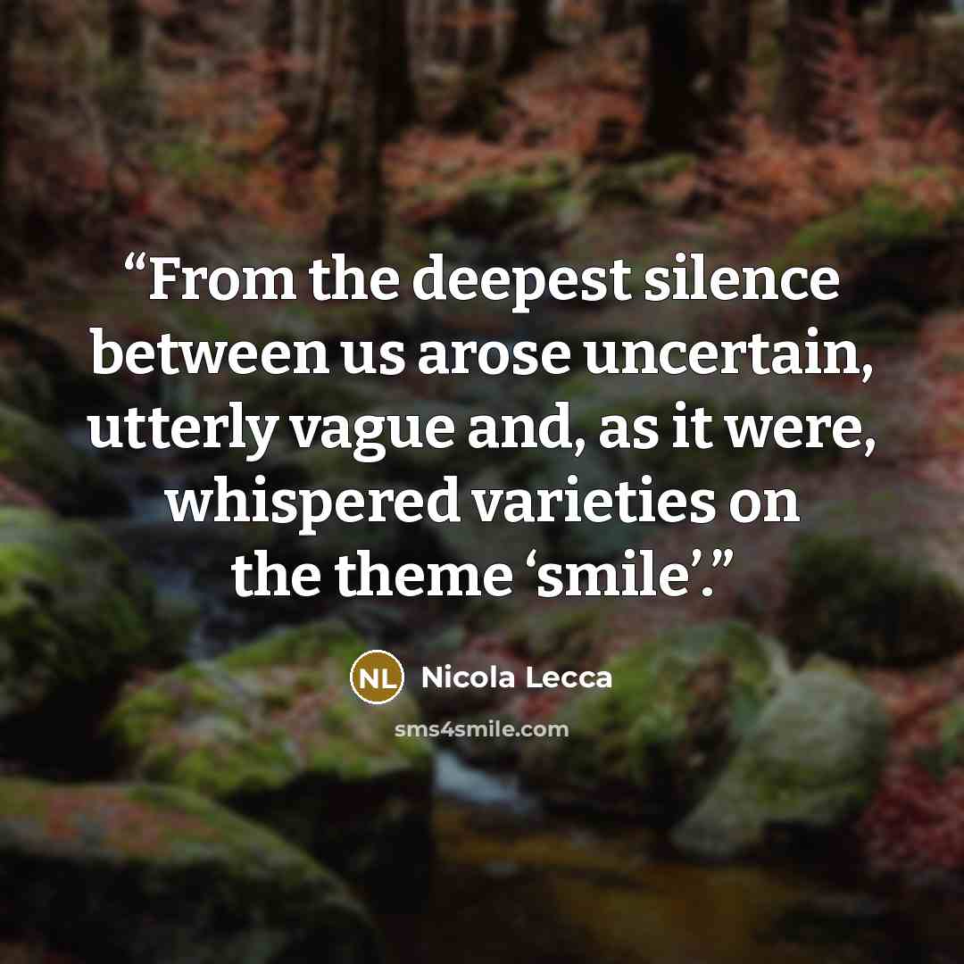 “From the deepest silence between us arose uncertain, utterly vague and, as it were, whispered varieties on the theme ‘smile’.” quote by Nicola Lecca