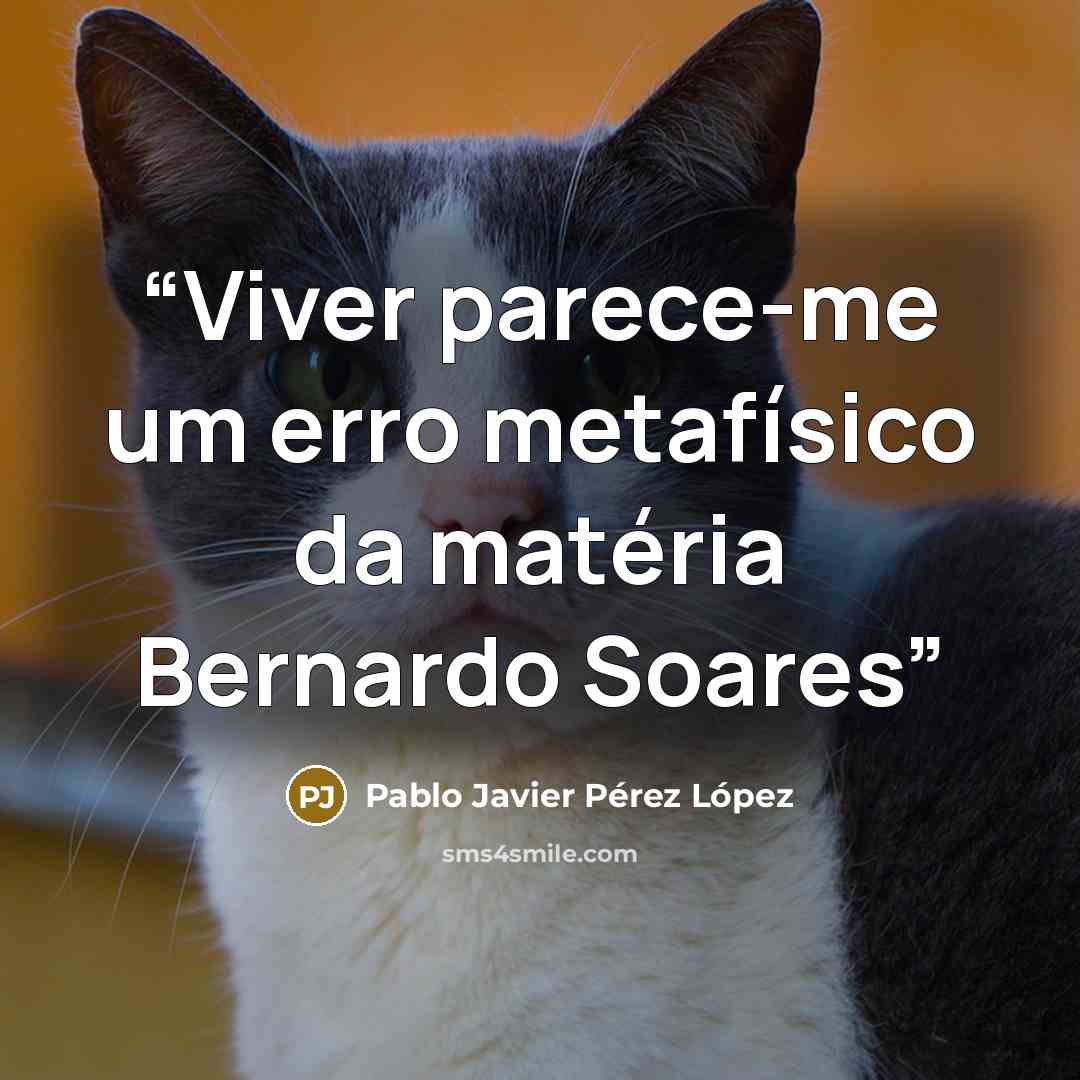“Viver parece-me um erro metafísico da matéria Bernardo Soares” quote by Pablo Javier Pérez López