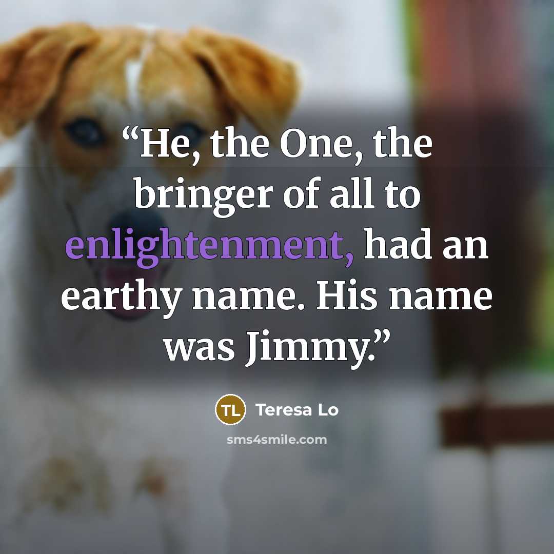 “He, the One, the bringer of all to enlightenment, had an earthy name. His name was Jimmy.” quote by Teresa Lo