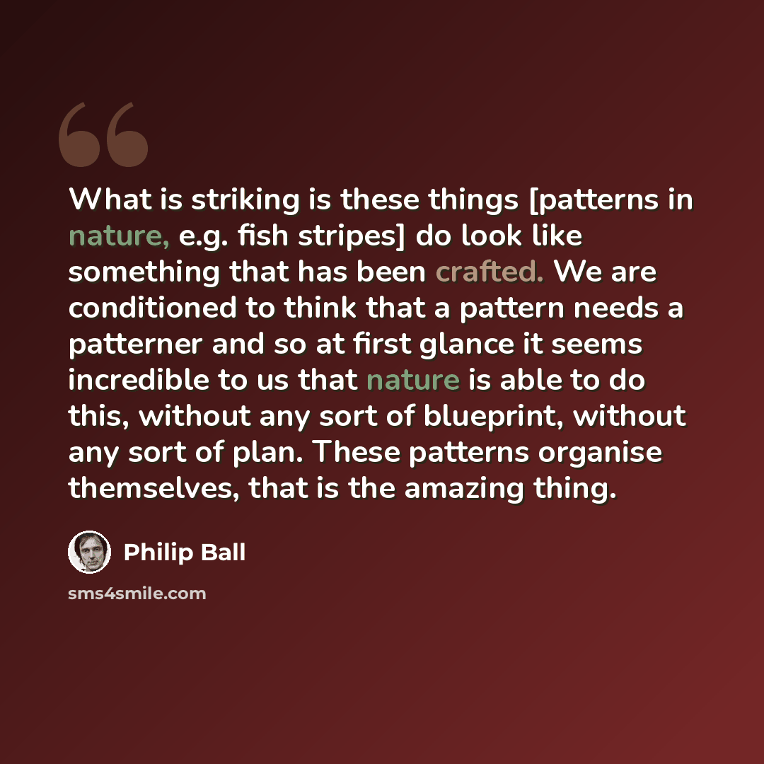 “What is striking is these things [patterns in nature, e.g. fish stripes] do look like something that has been crafted. We are conditioned to think that a pattern needs a patterner and so at first glance it seems incredible to us that nature is able to do this, without any sort of blueprint…” quote by Philip Ball