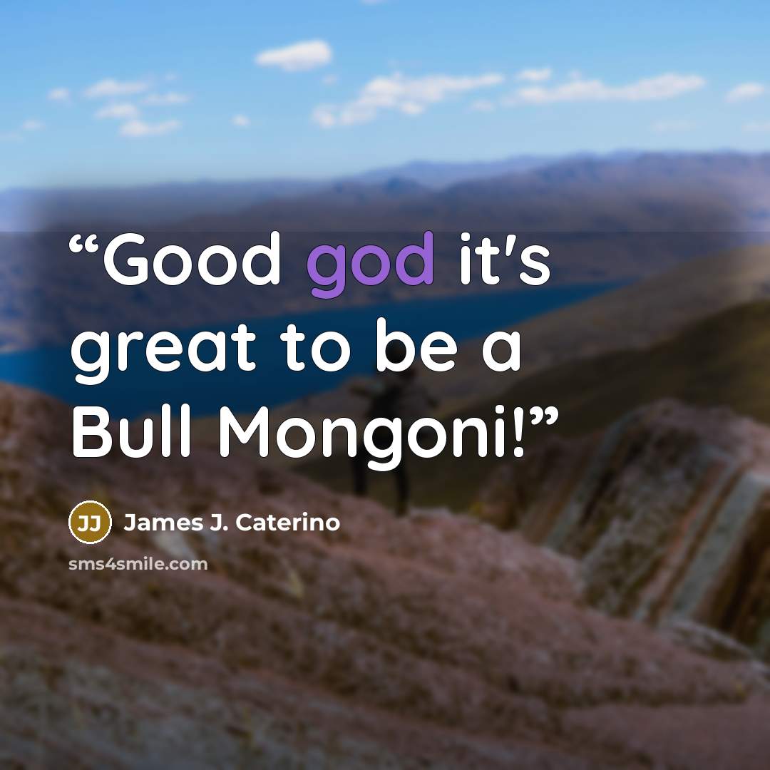 “Good god it's great to be a Bull Mongoni!” quote by James J. Caterino