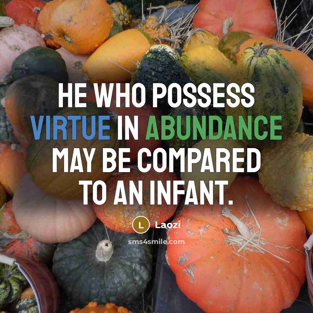 “He who possess virtue in abundance may be compared to an infant.” quote by Laozi