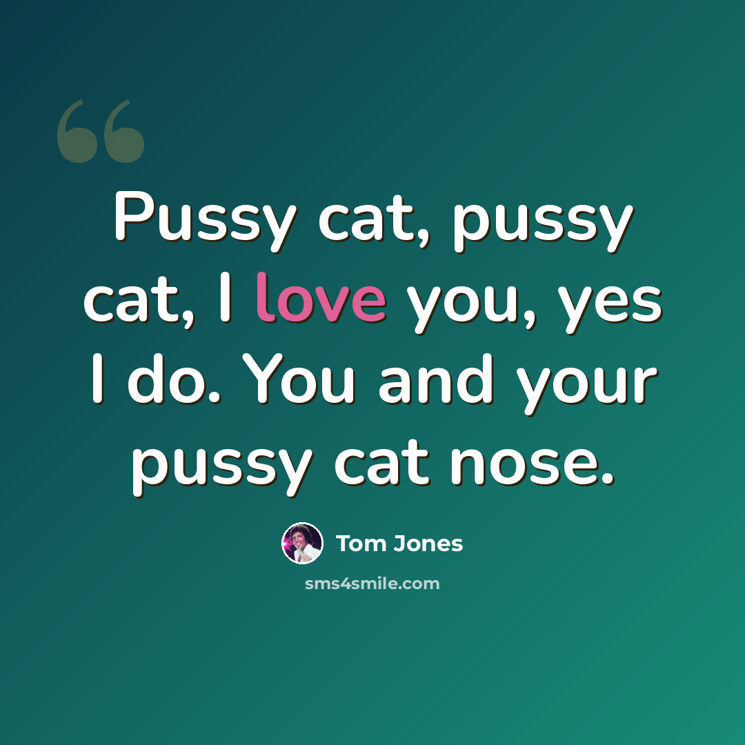 “Pussy cat, pussy cat, I love you, yes I do. You and your pussy cat nose.” quote by Tom Jones