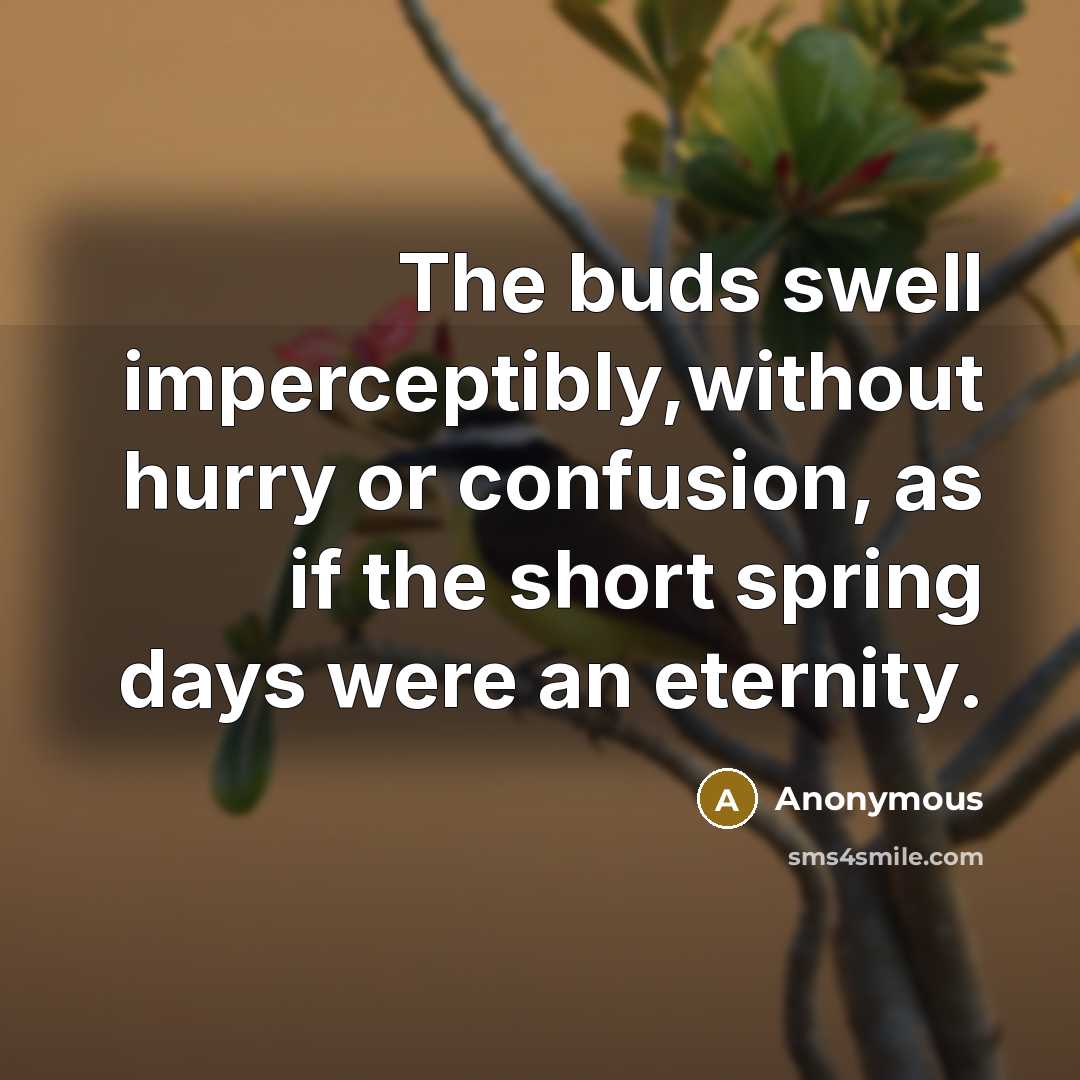 “The buds swell imperceptibly,without hurry or confusion, as if the short spring days were an eternity.” quote by Anonymous