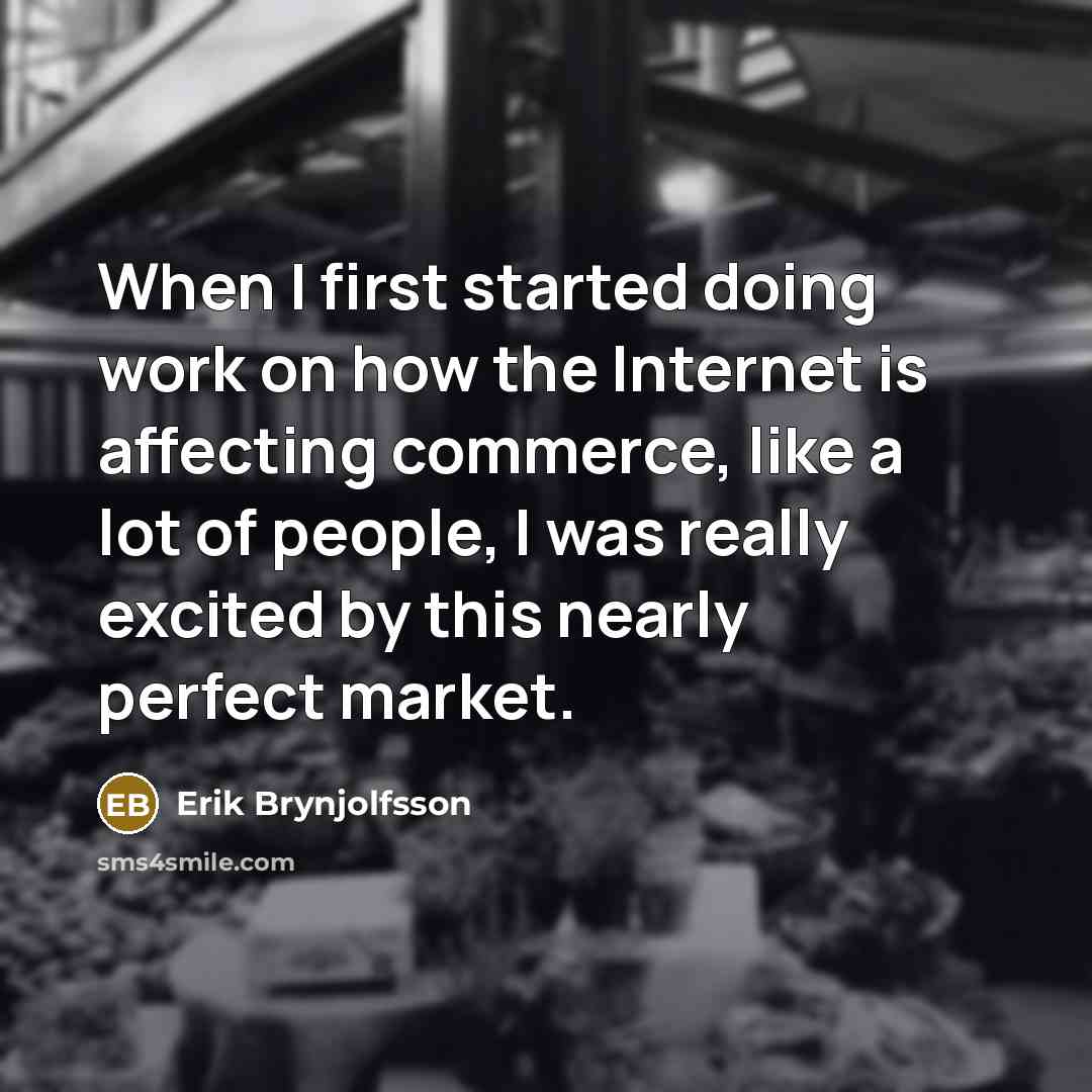 “When I first started doing work on how the Internet is affecting commerce, like a lot of people, I was really excited by this nearly perfect market.” quote by Erik Brynjolfsson