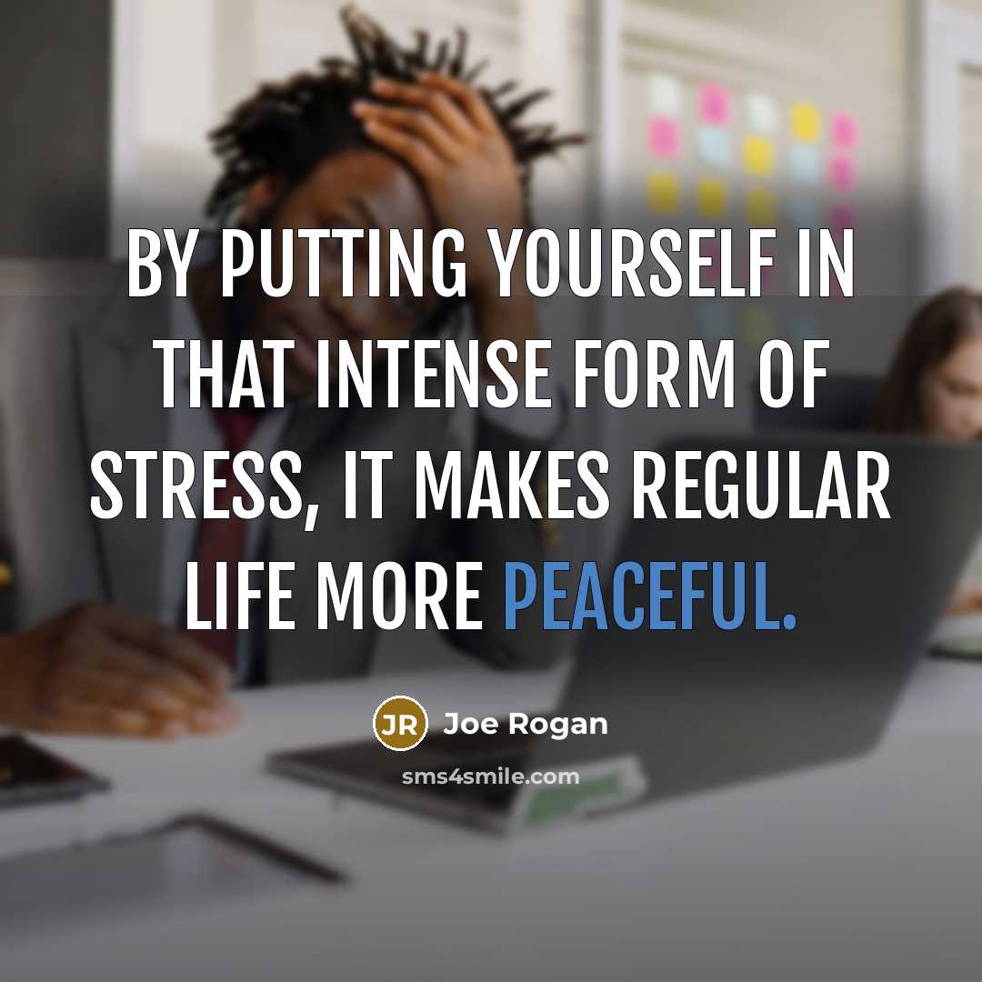 “By putting yourself in that intense form of stress, it makes regular life more peaceful.” quote by Joe Rogan