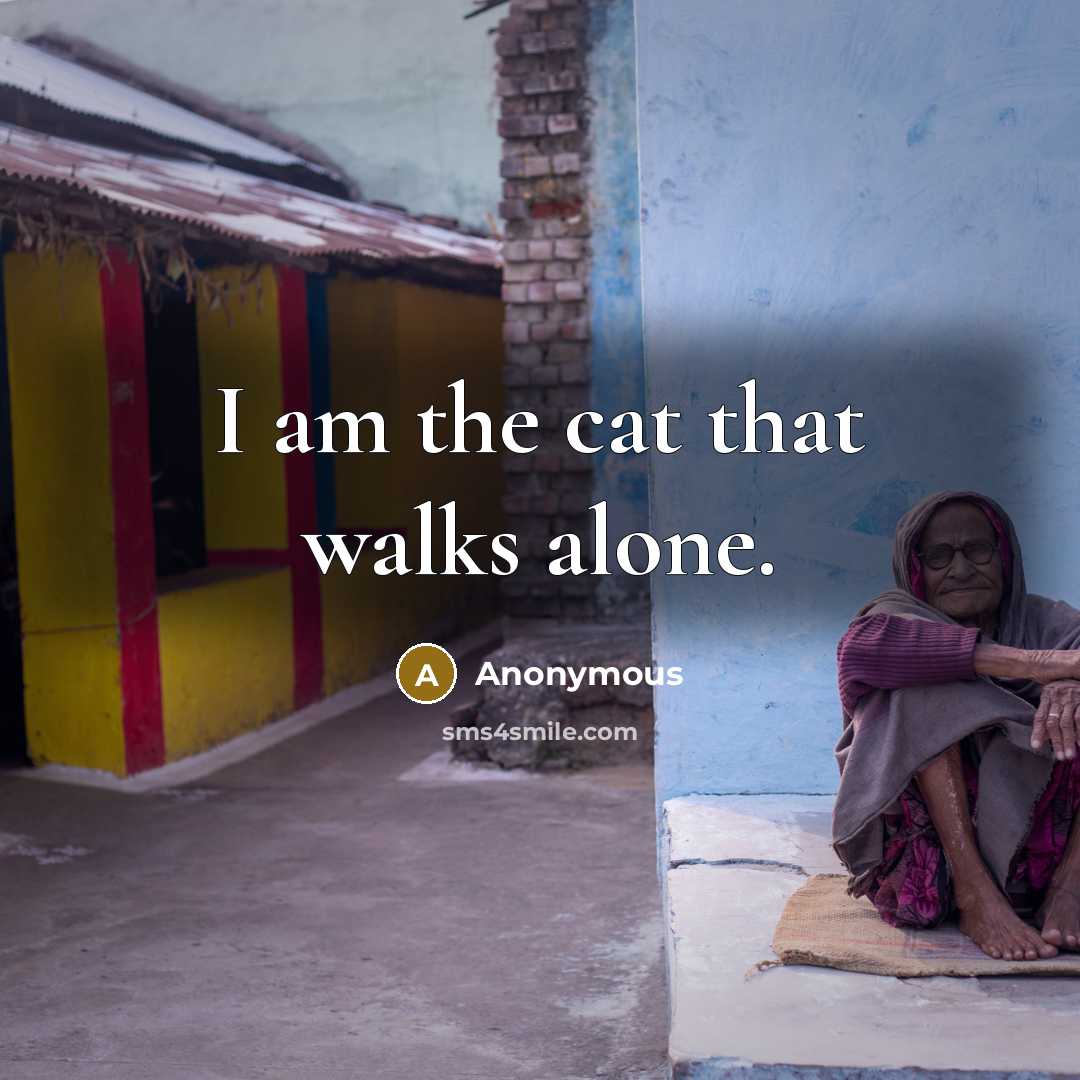 “I am the cat that walks alone.” quote by Anonymous