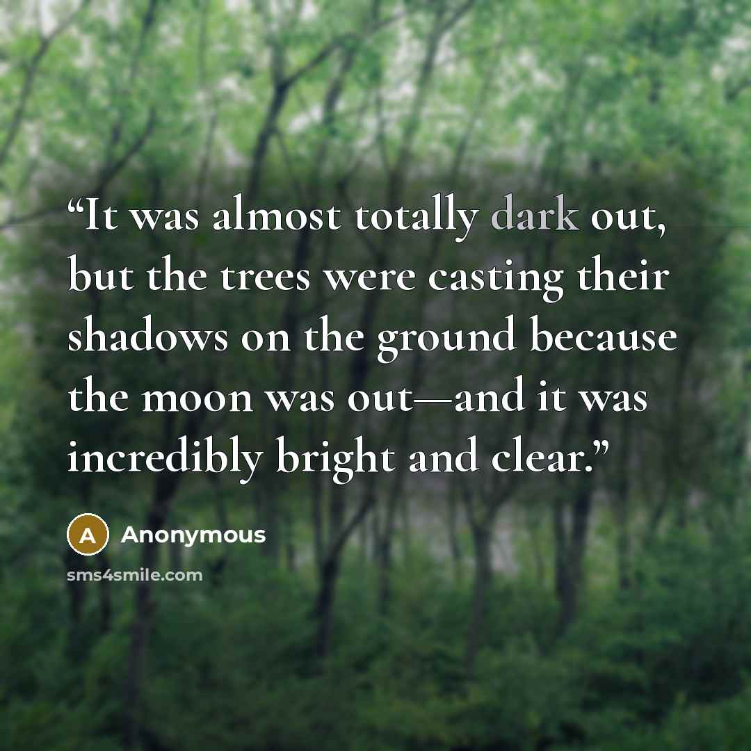 “It was almost totally dark out, but the trees were casting their shadows on the ground because the moon was out—and it was incredibly bright and clear.” quote by Anonymous
