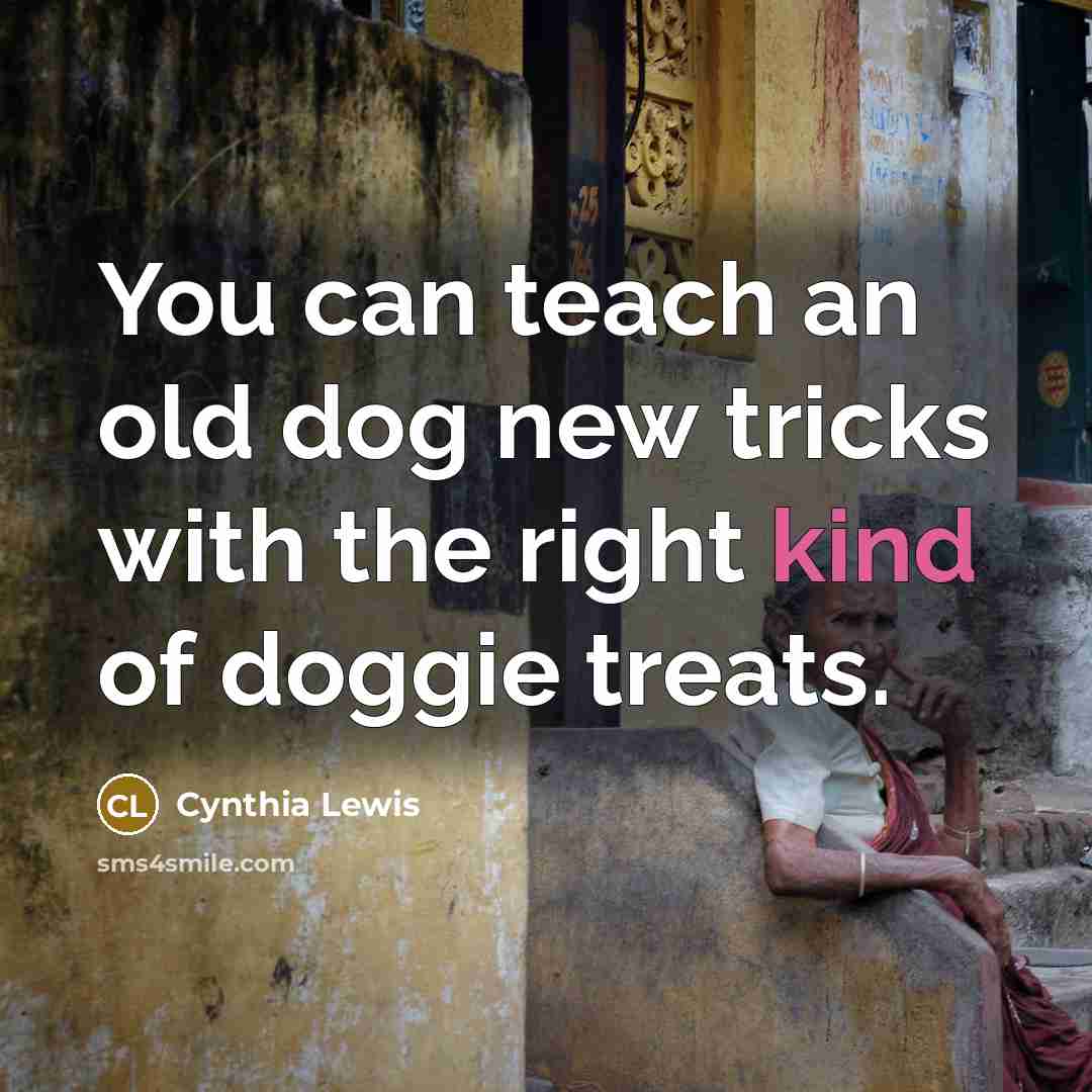 “You can teach an old dog new tricks with the right kind of doggie treats.” quote by Cynthia Lewis