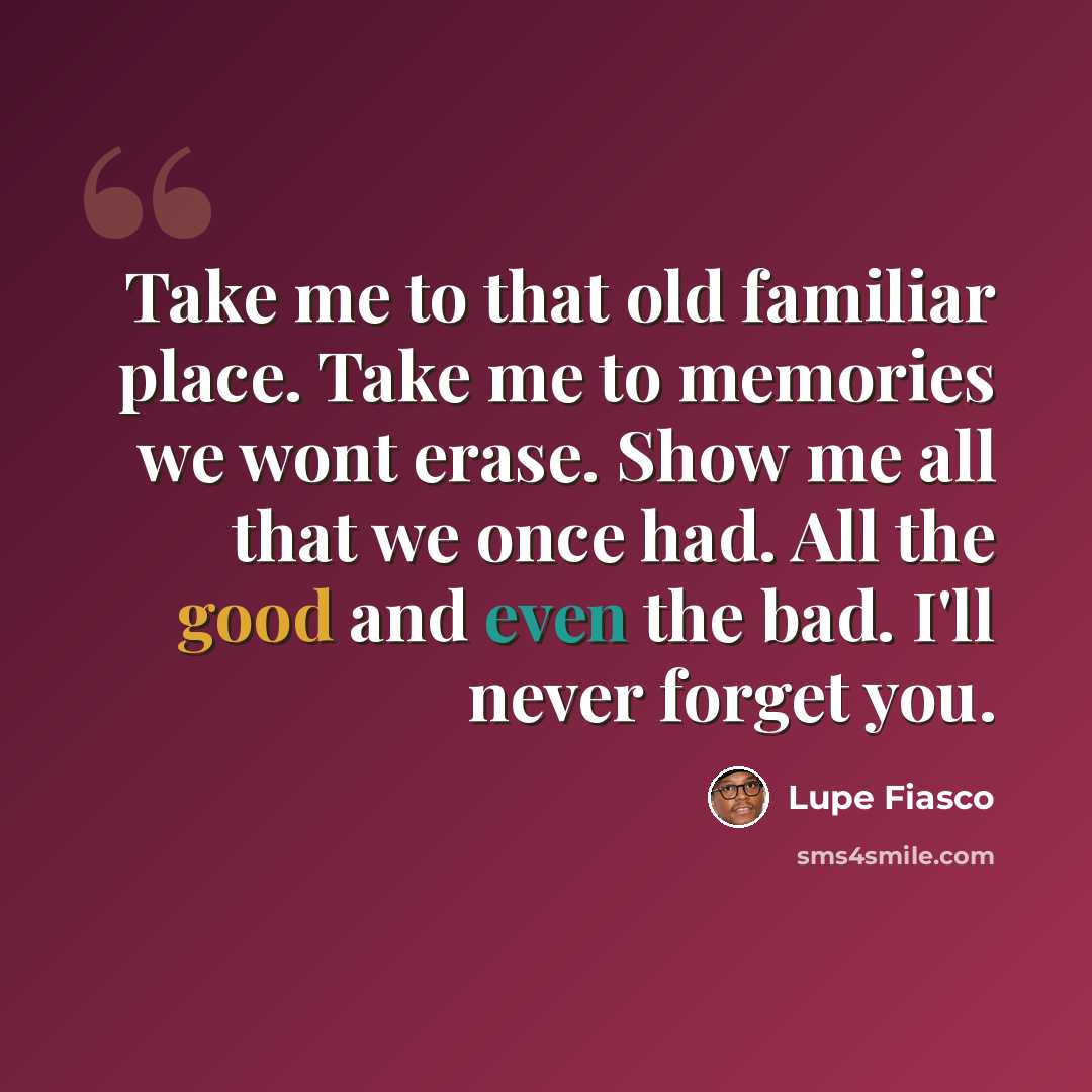 “Take me to that old familiar place. Take me to memories we wont erase. Show me all that we once had. All the good and even the bad. I'll never forget you.” quote by Lupe Fiasco