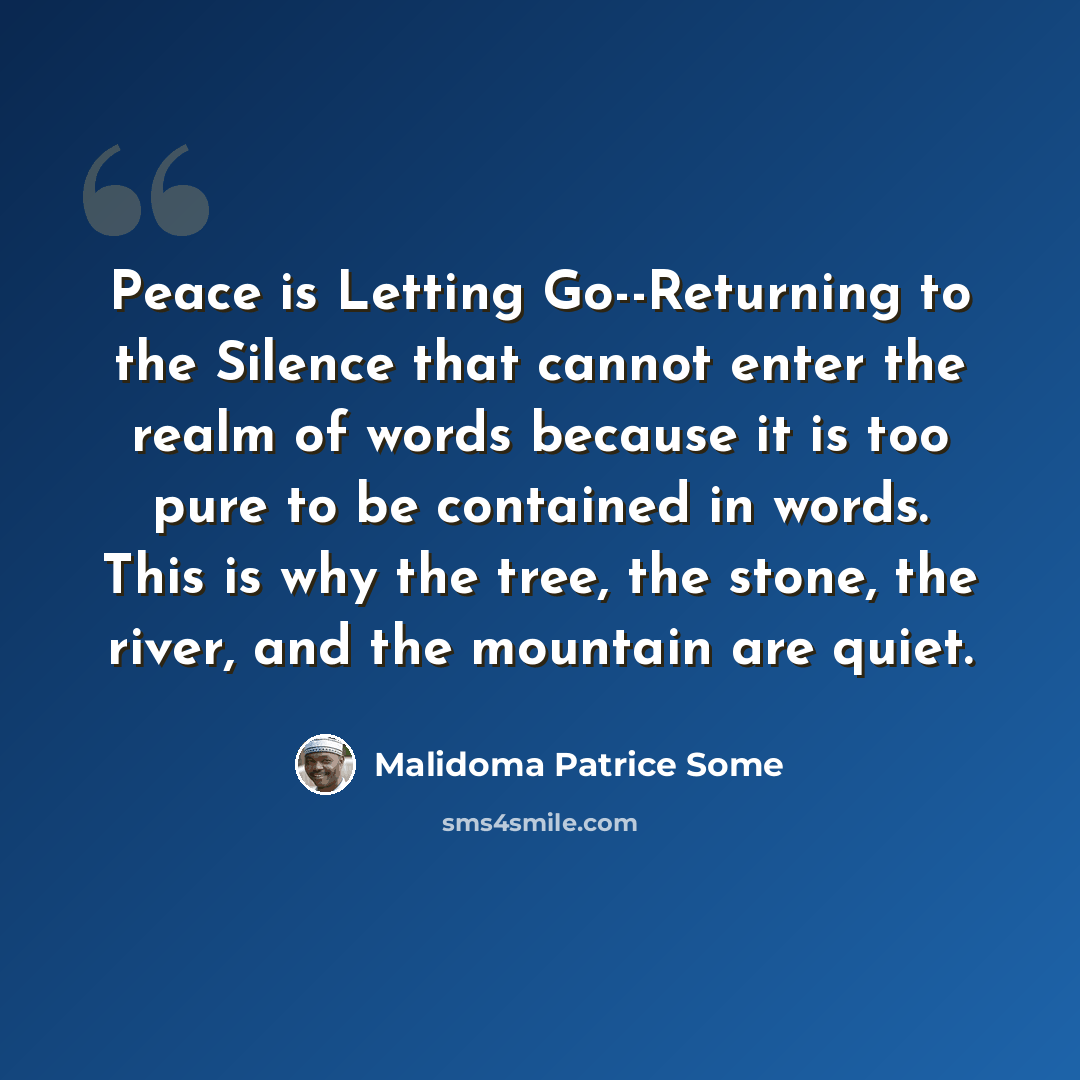 “Peace is Letting Go--Returning to the Silence that cannot enter the realm of words because it is too pure to be contained in words. This is why the tree, the stone, the river, and the mountain are quiet.” quote by Malidoma Patrice Some