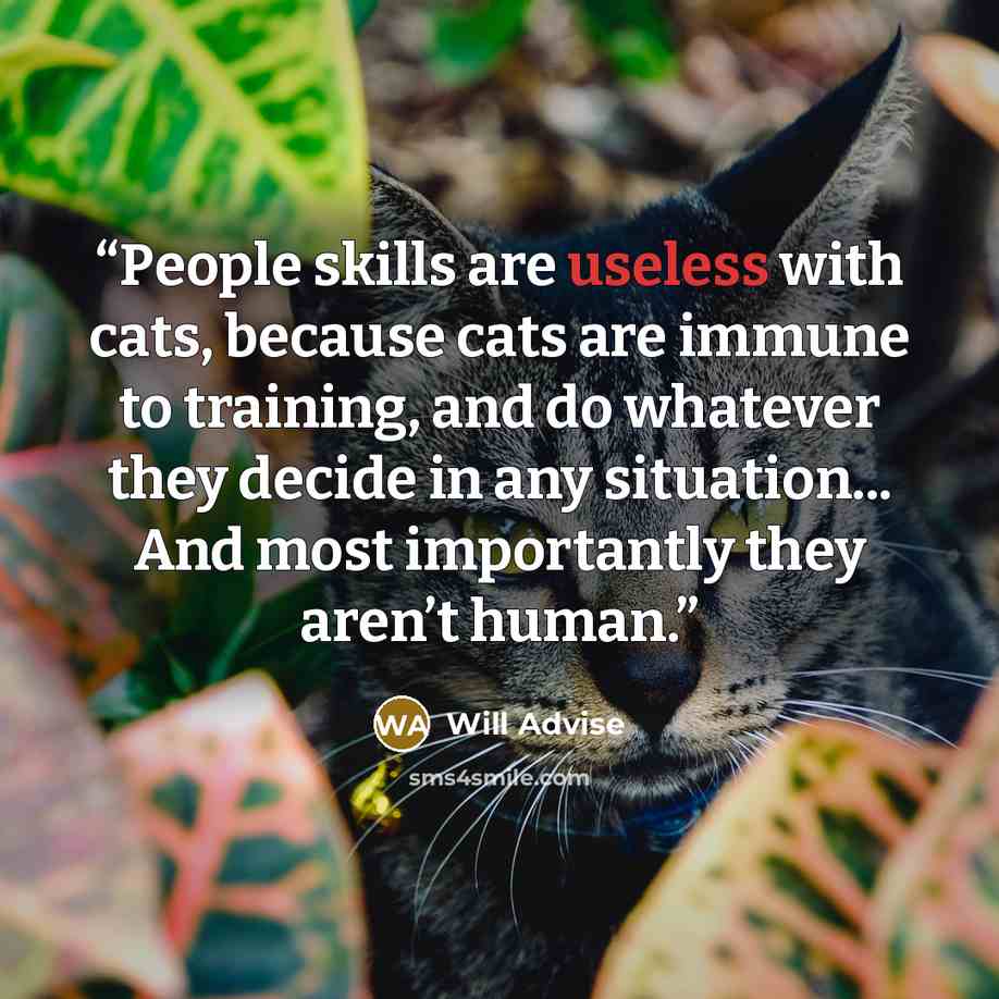 “People skills are useless with cats, because cats are immune to training, and do whatever they decide in any situation... And most importantly they aren’t human.” quote by Will Advise