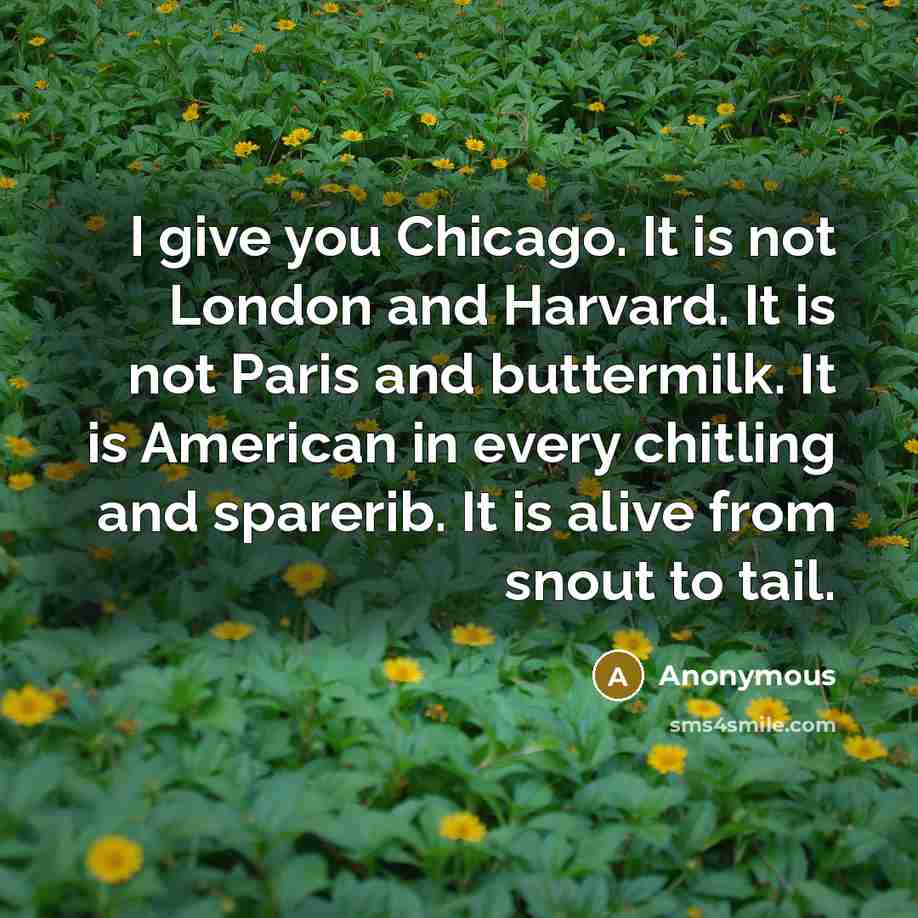 “I give you Chicago. It is not London and Harvard. It is not Paris and buttermilk. It is American in every chitling and sparerib. It is alive from snout to tail.” quote by Anonymous