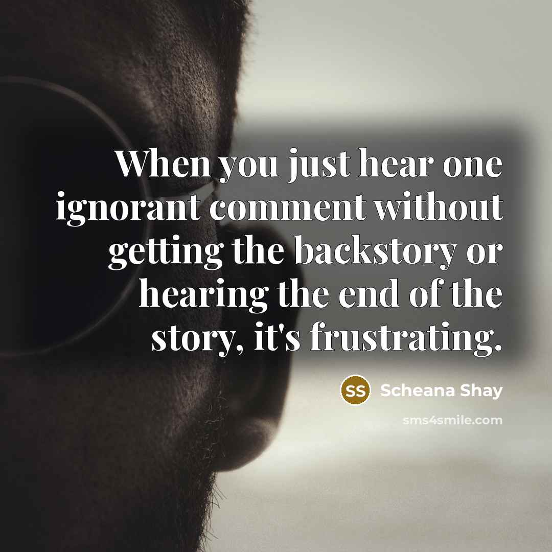 “When you just hear one ignorant comment without getting the backstory or hearing the end of the story, it's frustrating.” quote by Scheana Shay