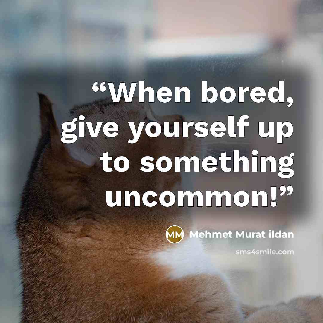 “When bored, give yourself up to something uncommon!” quote by Mehmet Murat ildan