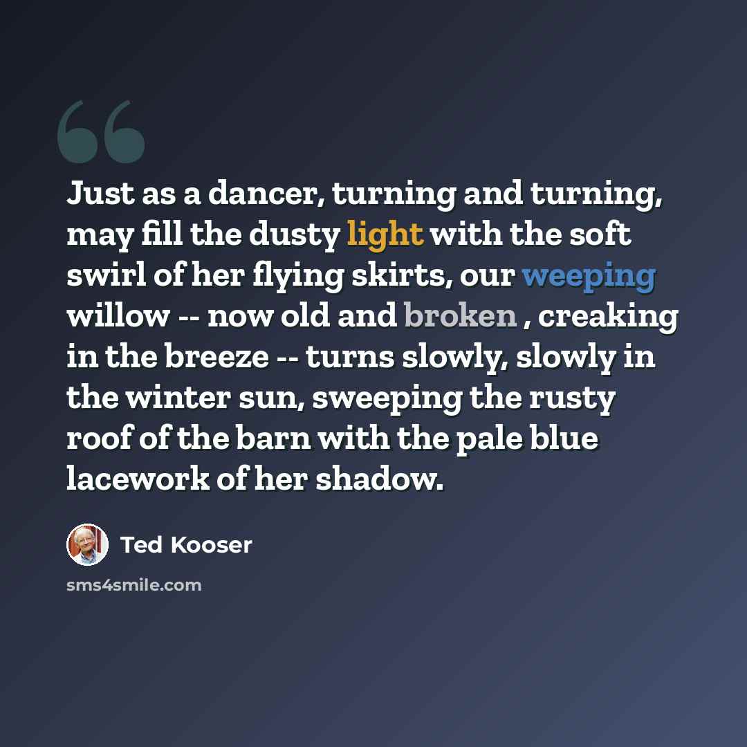 “Just as a dancer, turning and turning, may fill the dusty light with the soft swirl of her flying skirts, our weeping willow -- now old and broken , creaking in the breeze -- turns slowly, slowly in the winter sun, sweeping the rusty roof of the barn with the pale blue lacework of her shadow.” quote by Ted Kooser