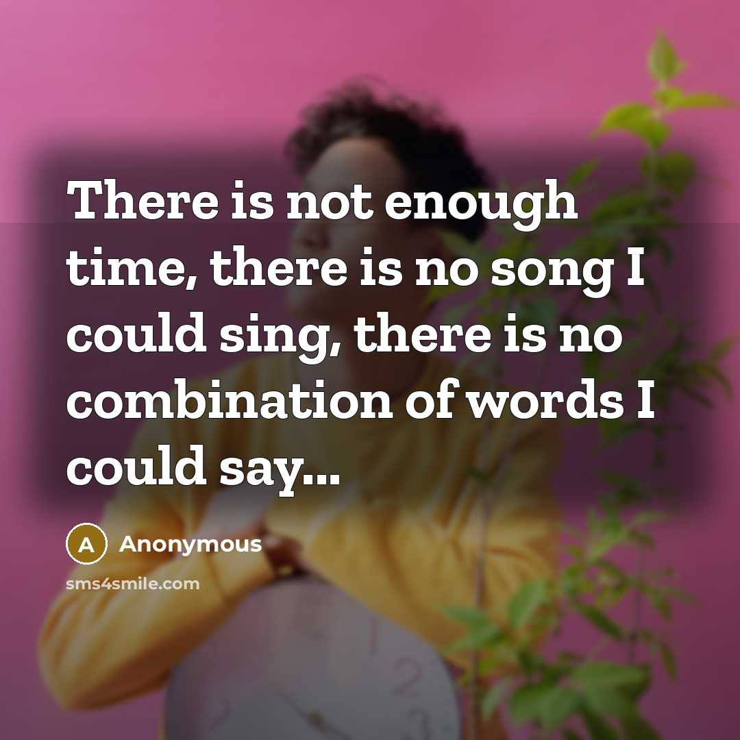 “There is not enough time, there is no song I could sing, there is no combination of words I could say...” quote by Anonymous
