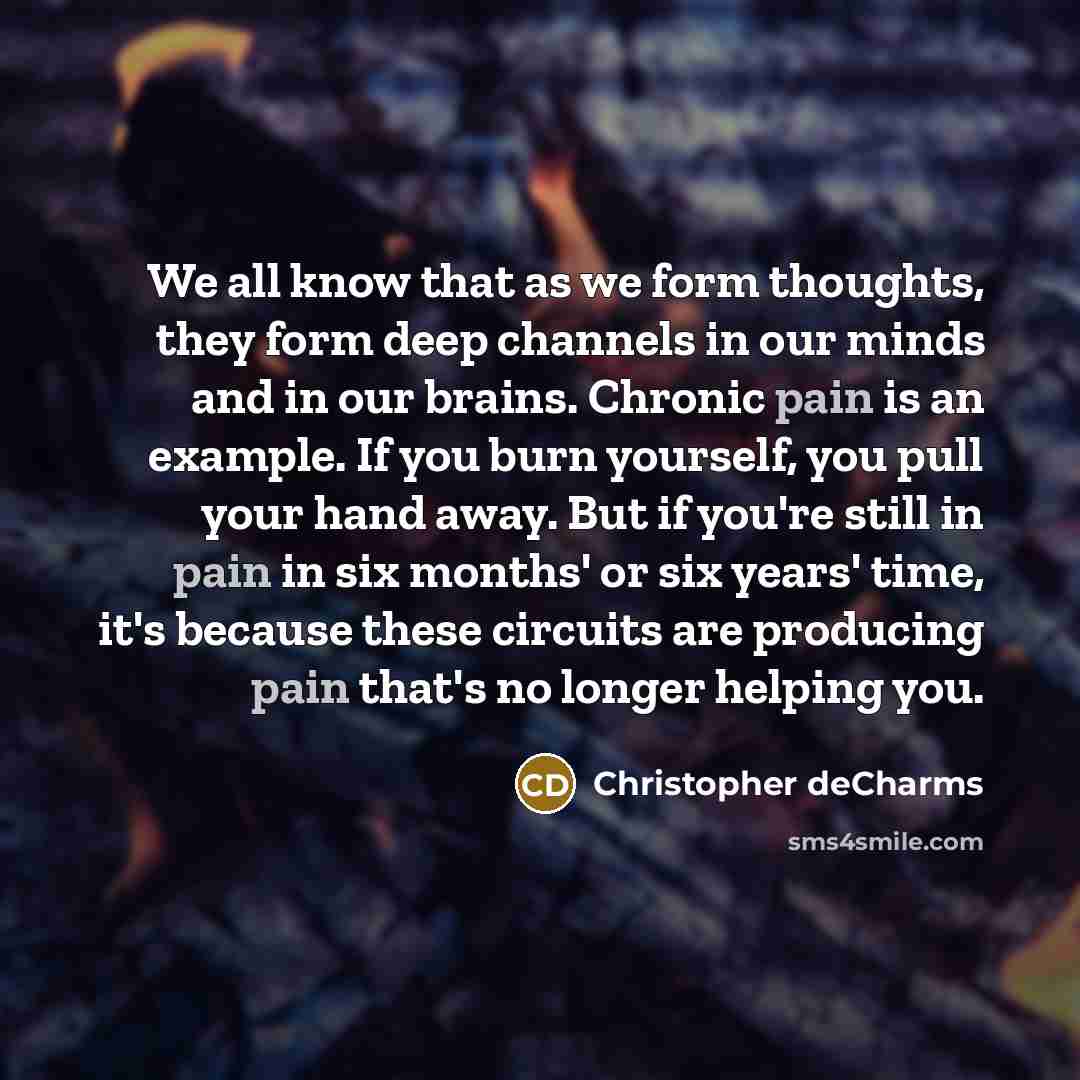 “We all know that as we form thoughts, they form deep channels in our minds and in our brains. Chronic pain is an example. If you burn yourself, you pull your hand away. But if you're still in pain in six months' or six years' time, it's because these circuits are producing pain that's no longer…” quote by Christopher deCharms