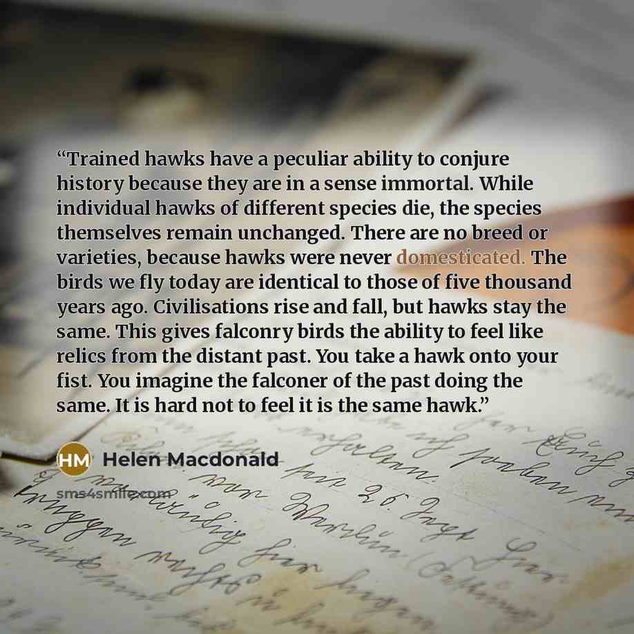 “Trained hawks have a peculiar ability to conjure history because they are in a sense immortal. While individual hawks of different species die, the species themselves remain unchanged. There are no breed or varieties, because hawks were never domesticated. The birds we fly today are identical to…” quote by Helen Macdonald