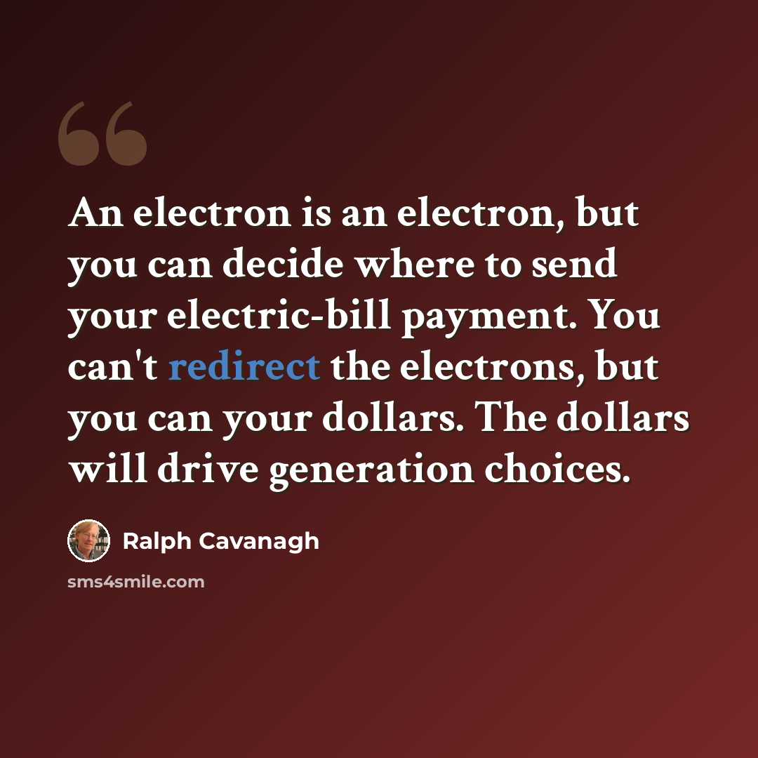 “An electron is an electron, but you can decide where to send your electric-bill payment. You can't redirect the electrons, but you can your dollars. The dollars will drive generation choices.” quote by Ralph Cavanagh