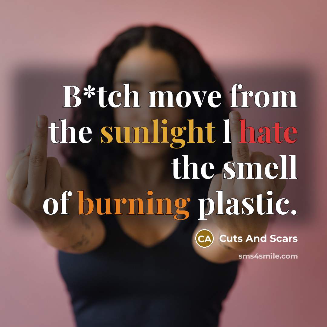 “B*tch move from the sunlight l hate the smell of burning plastic.” quote by Cuts And Scars