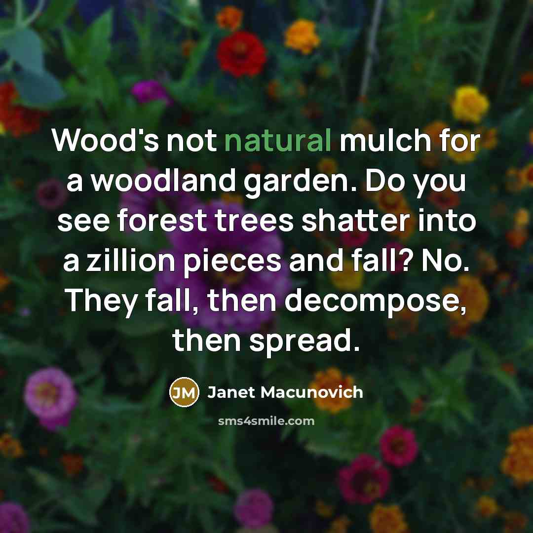 “Wood's not natural mulch for a woodland garden. Do you see forest trees shatter into a zillion pieces and fall? No. They fall, then decompose, then spread.” quote by Janet Macunovich