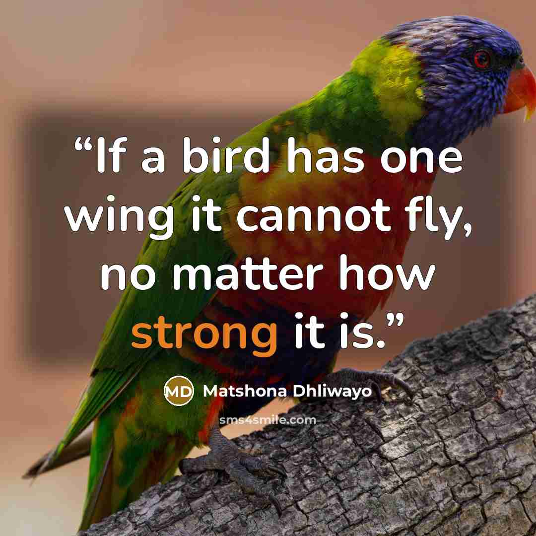 “If a bird has one wing it cannot fly, no matter how strong it is.” quote by Matshona Dhliwayo