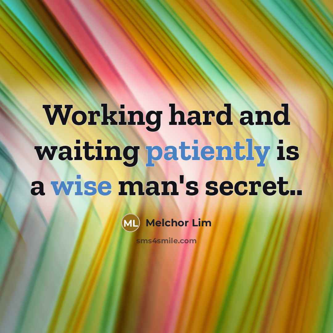 “Working hard and waiting patiently is a wise man's secret..” quote by Melchor Lim