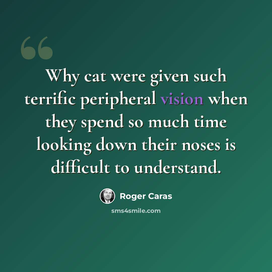 “Why cat were given such terrific peripheral vision when they spend so much time looking down their noses is difficult to understand.” quote by Roger Caras