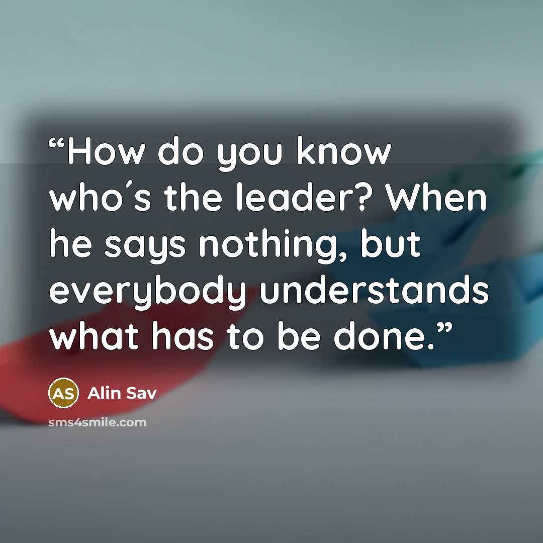 “How do you know who´s the leader? When he says nothing, but everybody understands what has to be done.” quote by Alin Sav