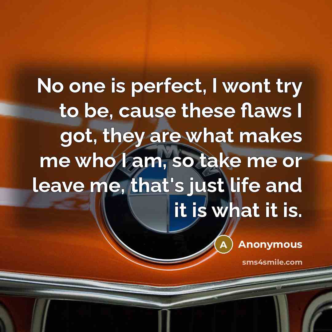 “No one is perfect, I wont try to be, cause these flaws I got, they are what makes me who I am, so take me or leave me, that's just life and it is what it is.” quote by Anonymous