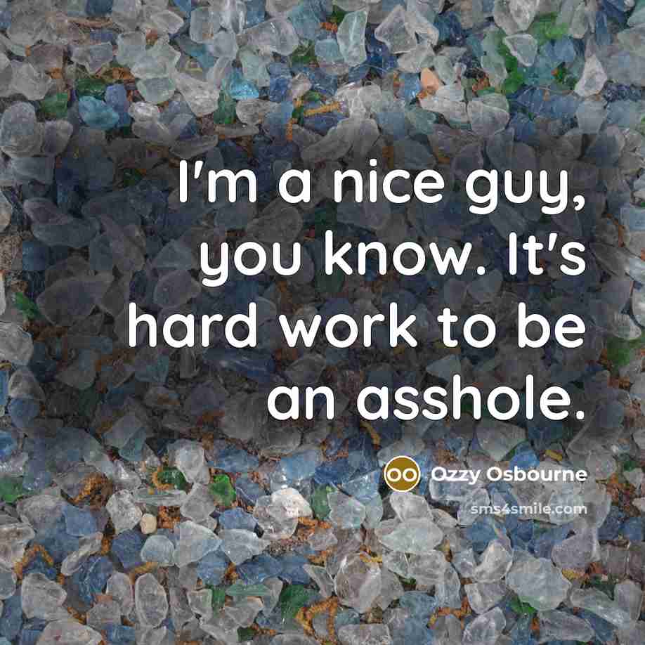 “I'm a nice guy, you know. It's hard work to be an asshole.” quote by Ozzy Osbourne