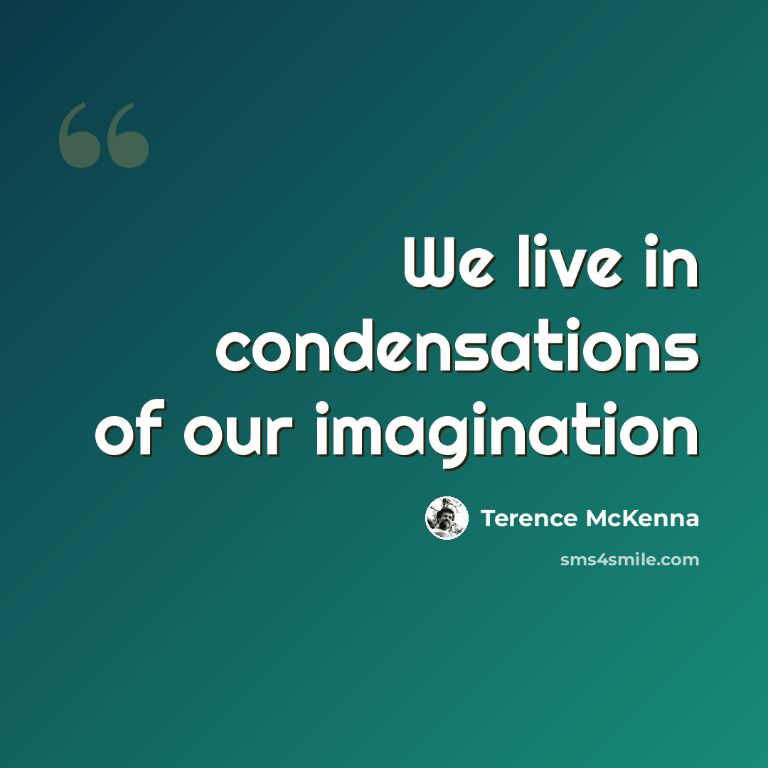 “We live in condensations of our imagination” quote by Terence McKenna