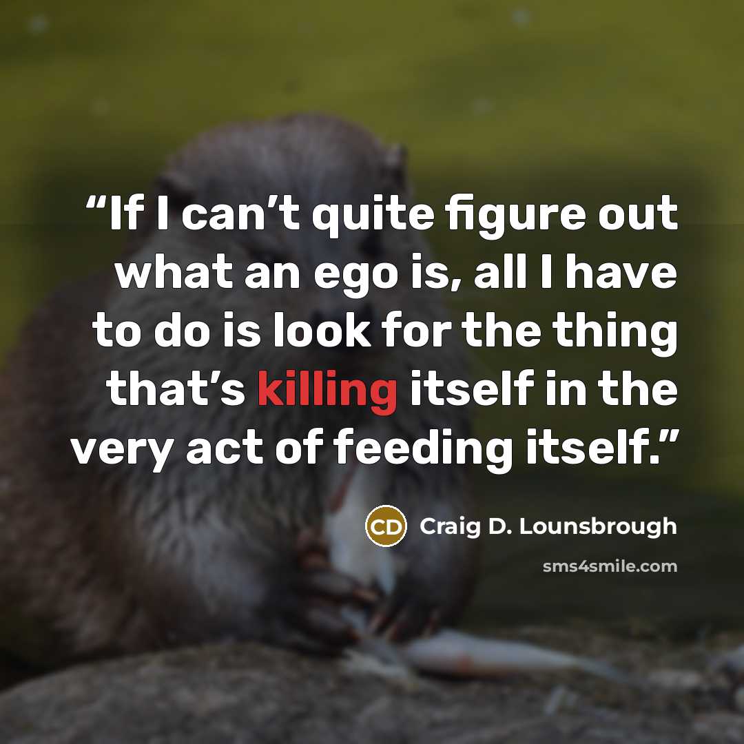 “If I can’t quite figure out what an ego is, all I have to do is look for the thing that’s killing itself in the very act of feeding itself.” quote by Craig D. Lounsbrough