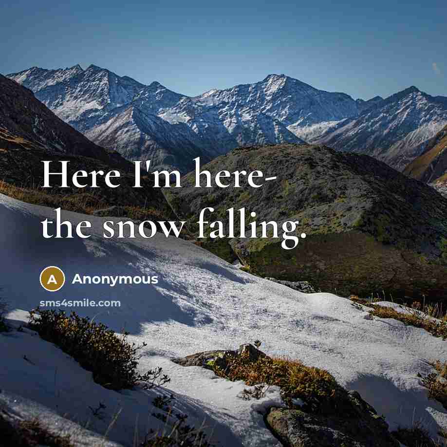 “Here I'm here- the snow falling.” quote by Anonymous