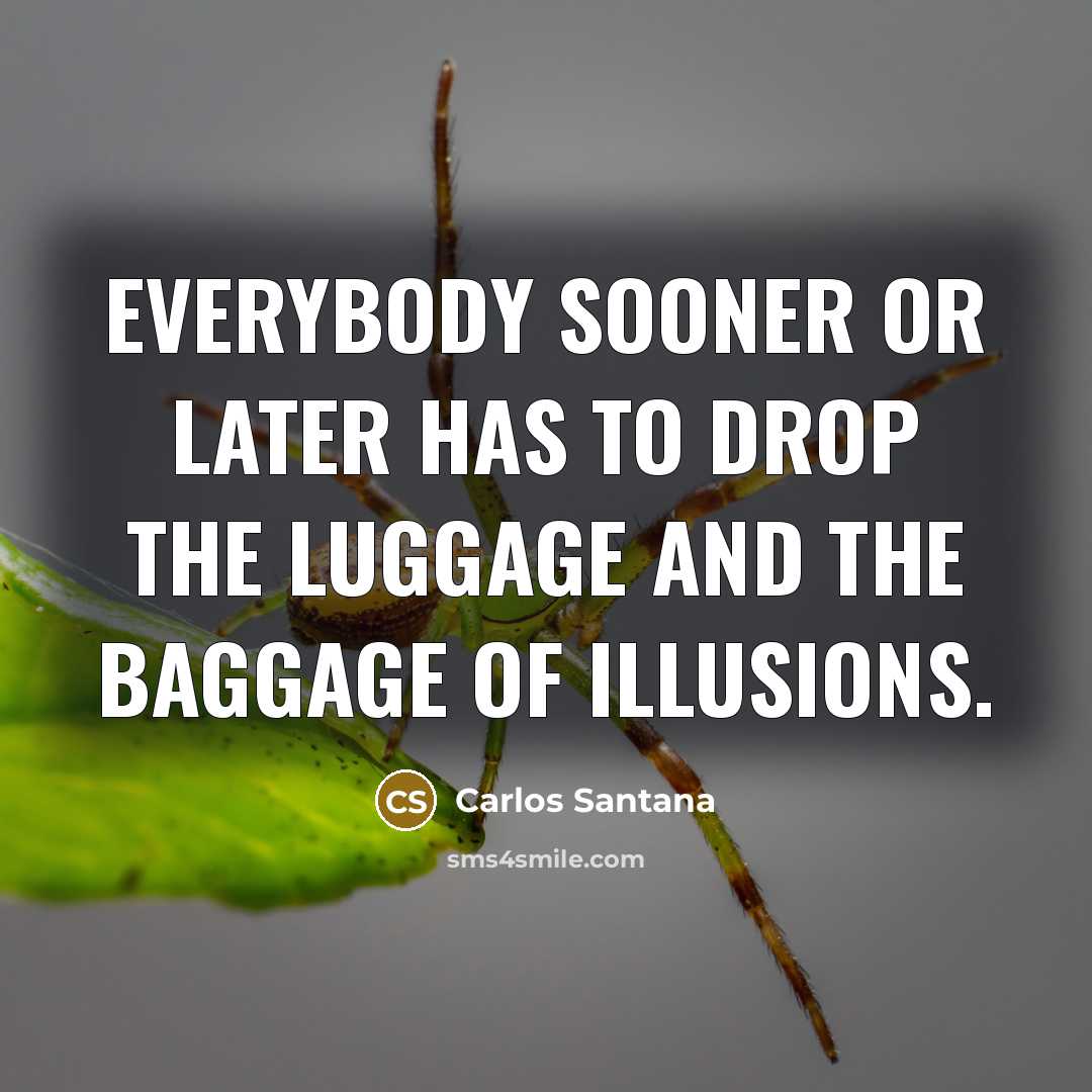 “Everybody sooner or later has to drop the luggage and the baggage of illusions.” quote by Carlos Santana