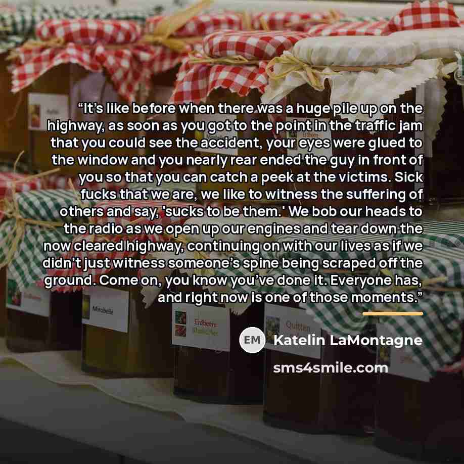 “It’s like before when there was a huge pile up on the highway, as soon as you got to the point in the traffic jam that you could see the accident, your eyes were glued to the window and you nearly rear ended the guy in front of you so that you can catch a peek at the victims. Sick fucks that we…” quote by Katelin LaMontagne