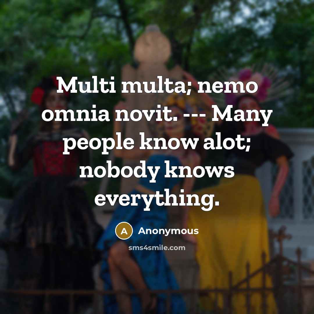 “Multi multa; nemo omnia novit. --- Many people know alot; nobody knows everything.” quote by Anonymous