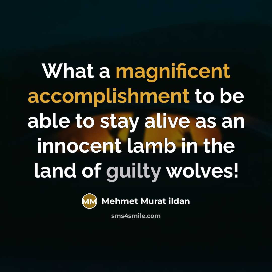 “What a magnificent accomplishment to be able to stay alive as an innocent lamb in the land of guilty wolves!” quote by Mehmet Murat Ildan
