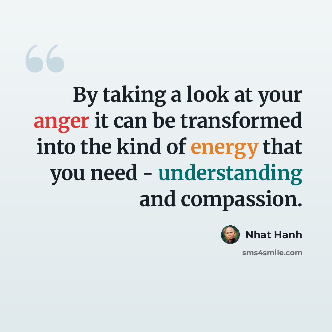 “By taking a look at your anger it can be transformed into the kind of energy that you need - understanding and compassion.” quote by Nhat Hanh