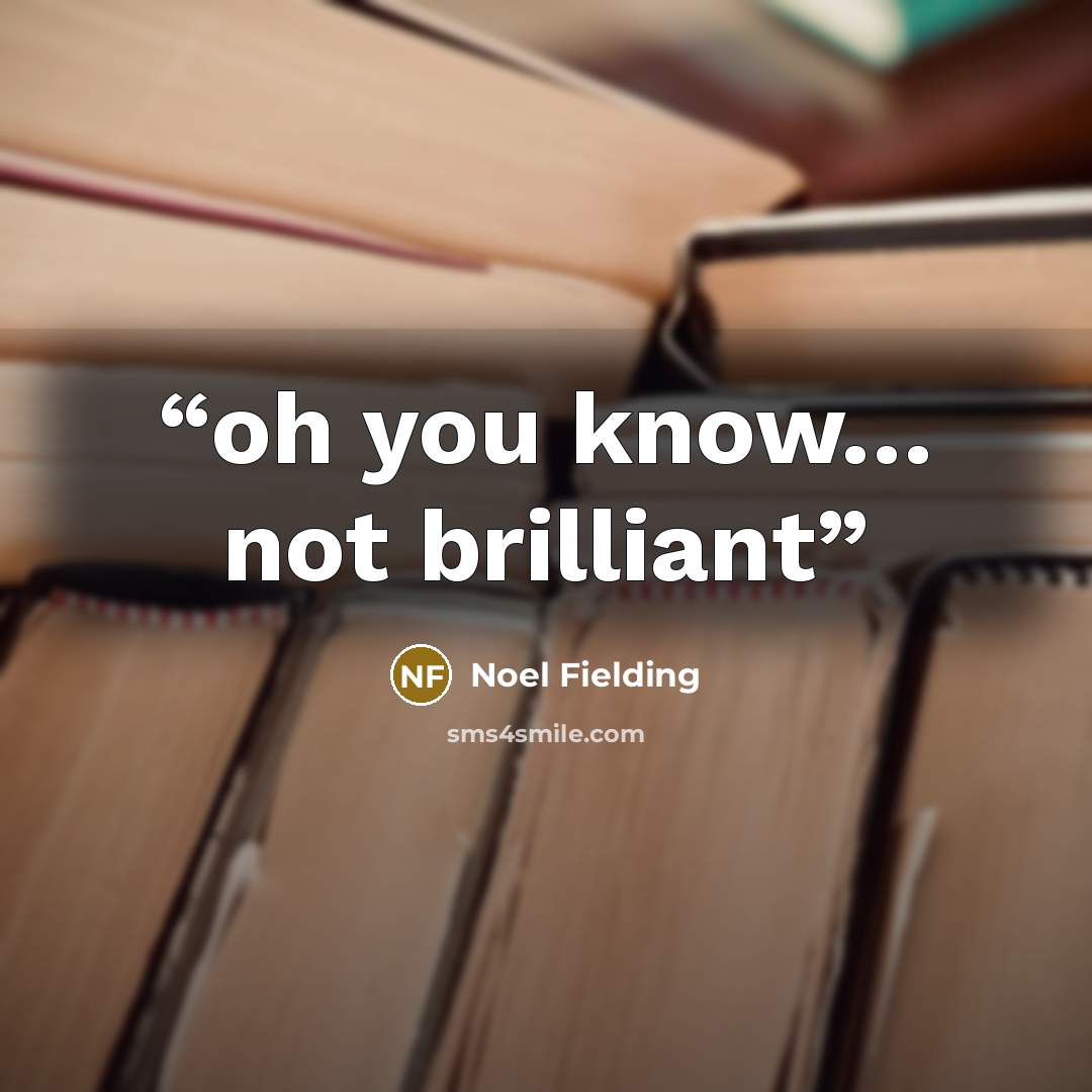 “oh you know… not brilliant” quote by Noel Fielding