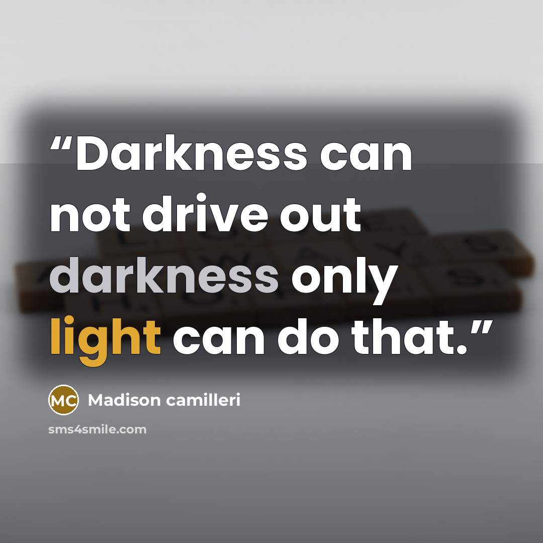 “Darkness can not drive out darkness only light can do that.” quote by Madison camilleri