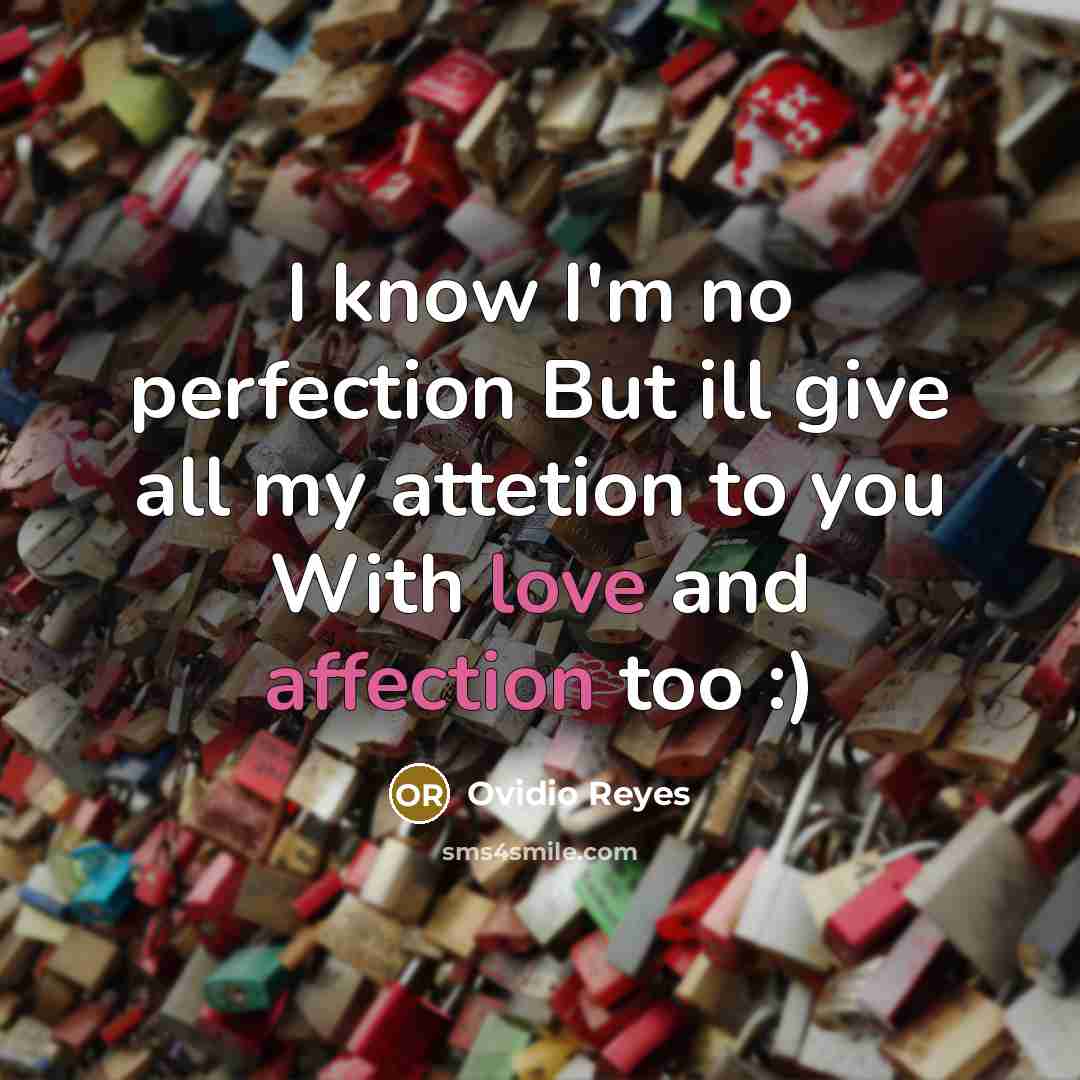 “I know I'm no perfection But ill give all my attetion to you With love and affection too :)” quote by Ovidio Reyes