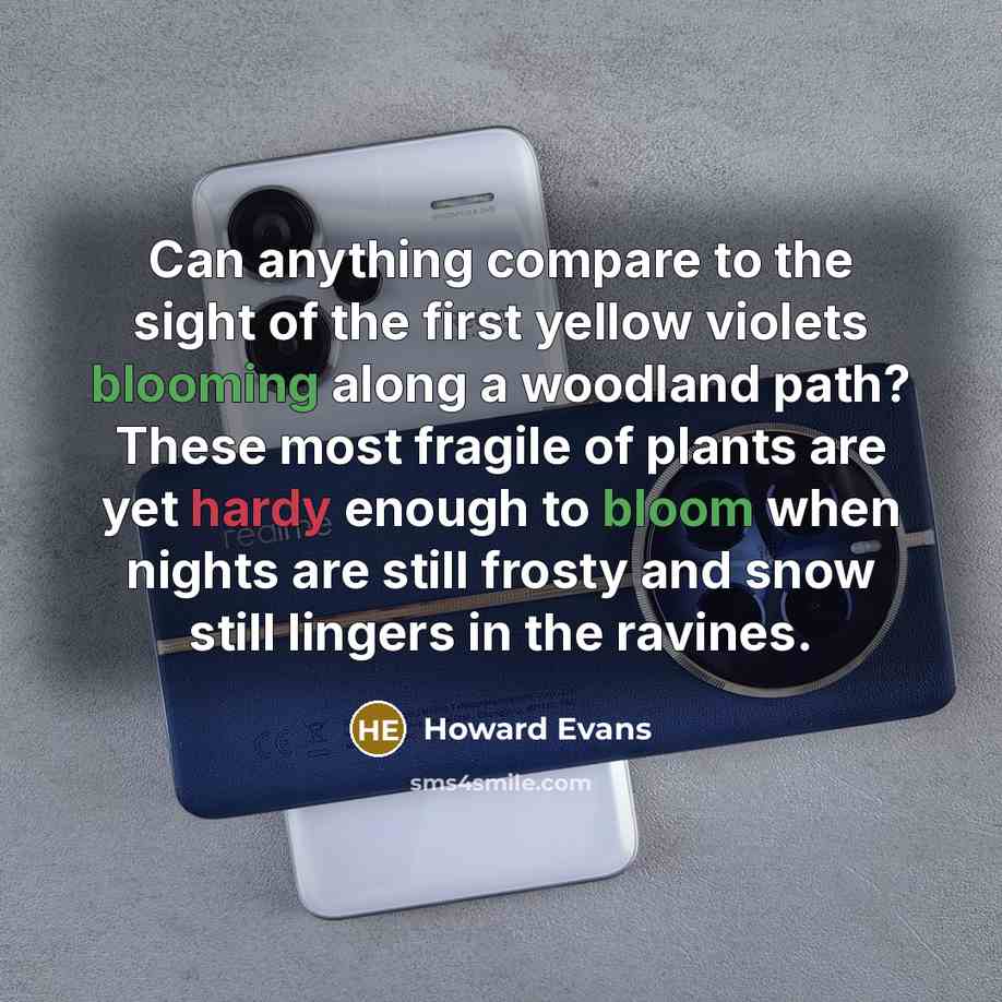 “Can anything compare to the sight of the first yellow violets blooming along a woodland path? These most fragile of plants are yet hardy enough to bloom when nights are still frosty and snow still lingers in the ravines.” quote by Howard Evans